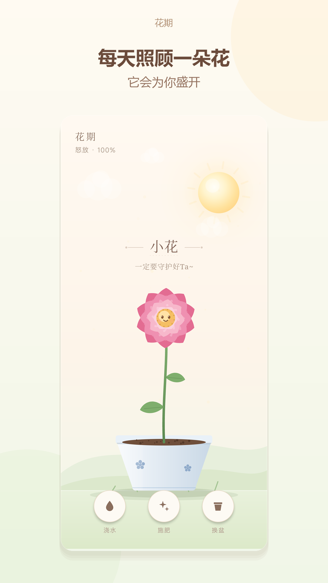 花期:花开