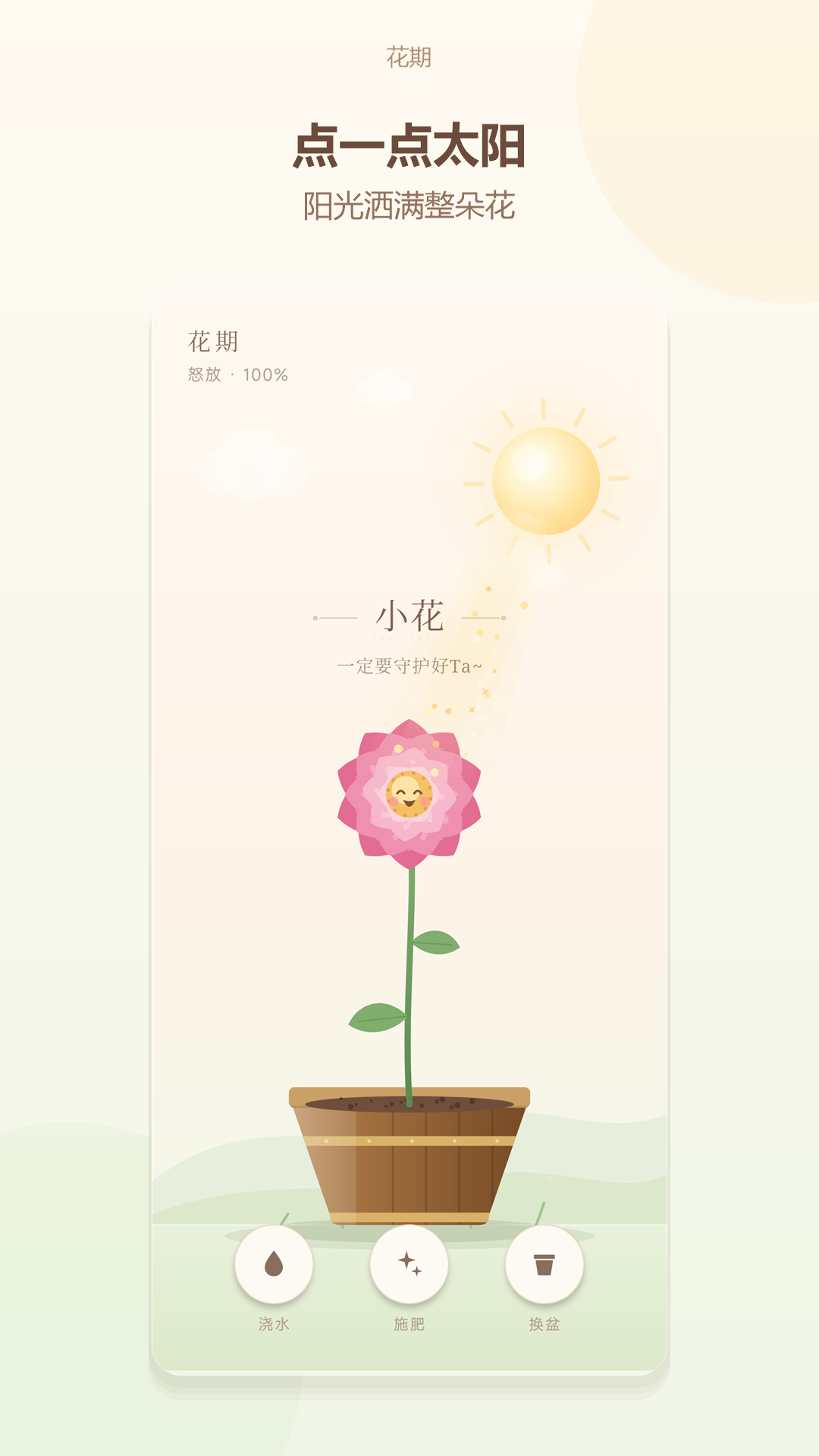 花期:阳光互动