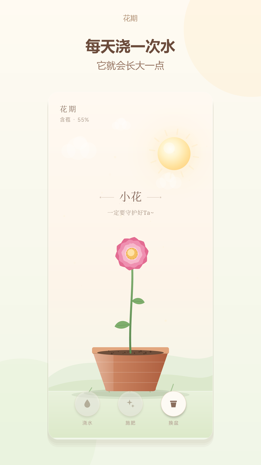 花期:相处之道
